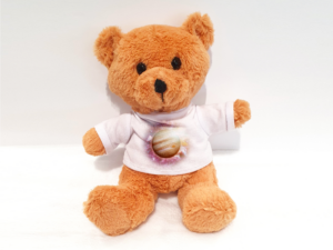 Teddy_Landingpage